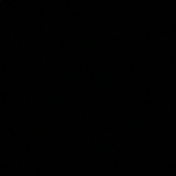 Meet your Posher, Abby :) - Picture 1 of 1